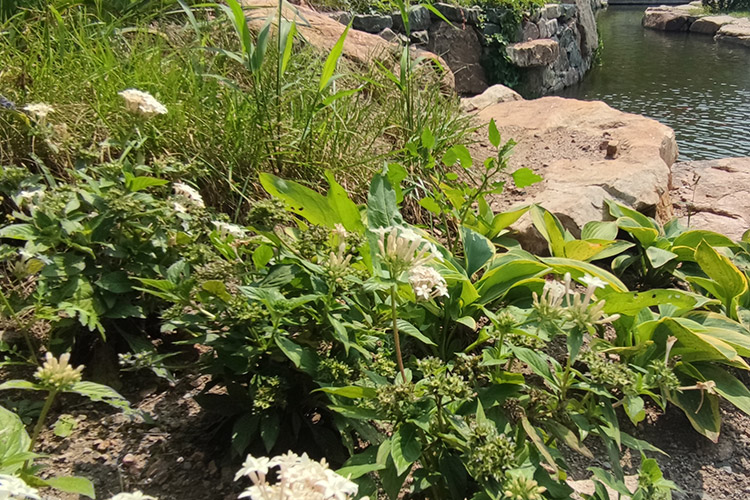 沈陽(yáng)鐵嶺陵園堪輿格局的講究是怎樣的