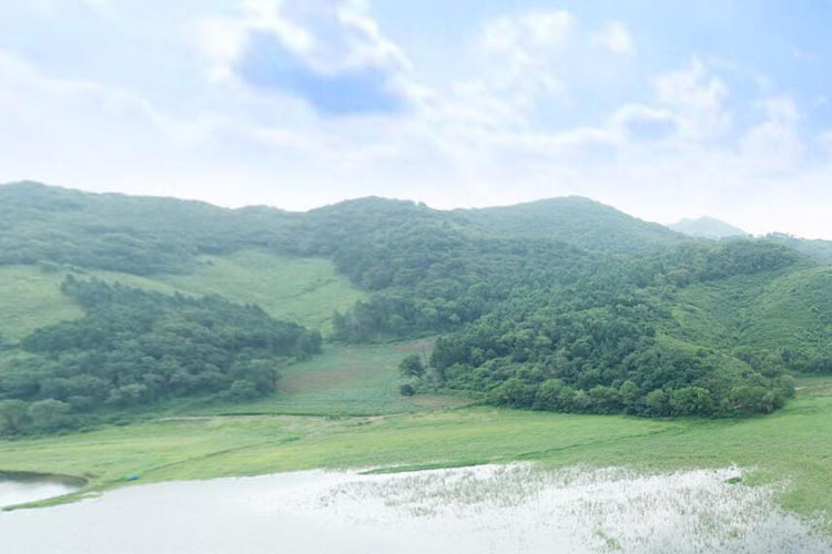 沈陽大河貝生態墓園是經營性墓地的還是公益性公墓？