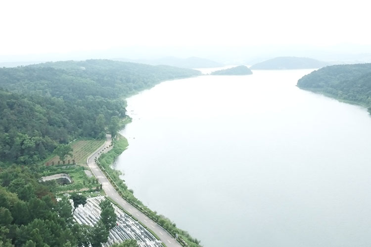 沈陽(yáng)陵園景觀營(yíng)造綠樹(shù)成蔭，大河貝墓地背山面水的自然景色之美！