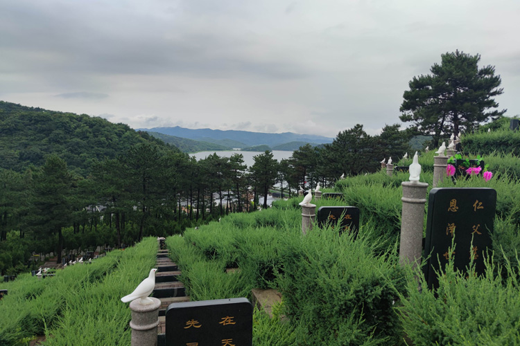 沈陽墓園樹葬或草坪葬需要哪些條件才能安葬？