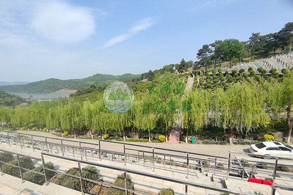 買沈陽陵園包含哪些費用？管理費收費標準是什么？