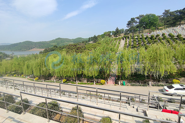 購買沈陽墓地時，如何確保既省錢又滿意？