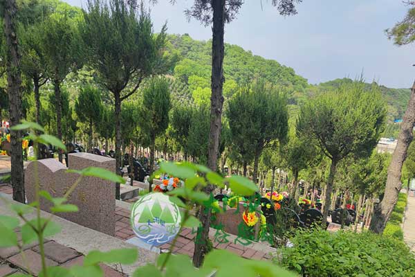 大河貝墓園，探尋山水之美中的靜謐陵園文化