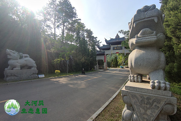 沈陽(yáng)墓地祭掃流程的正確步驟及注意事項(xiàng)有哪些？