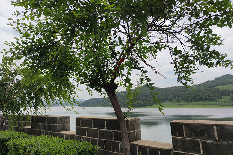 沈陽大河貝墓園有豪華墓地嗎